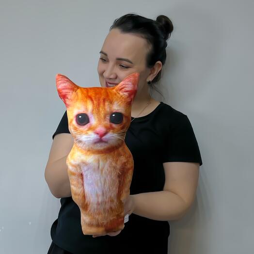 Игрушка антистресс Кот Мем