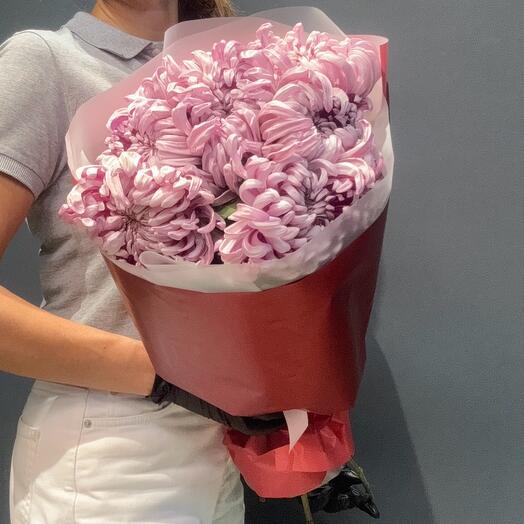 Хризантема Виена Pink