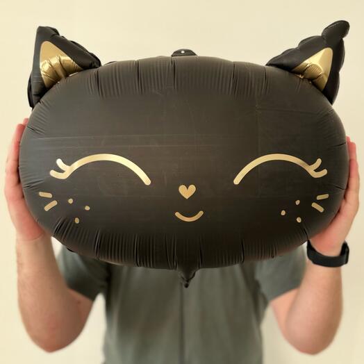 Чёрная кошка голова