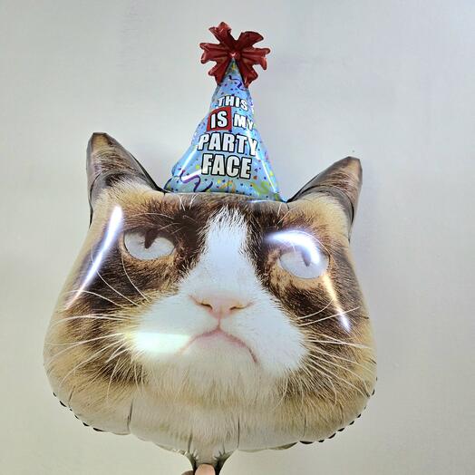 Шар Сердитый кот