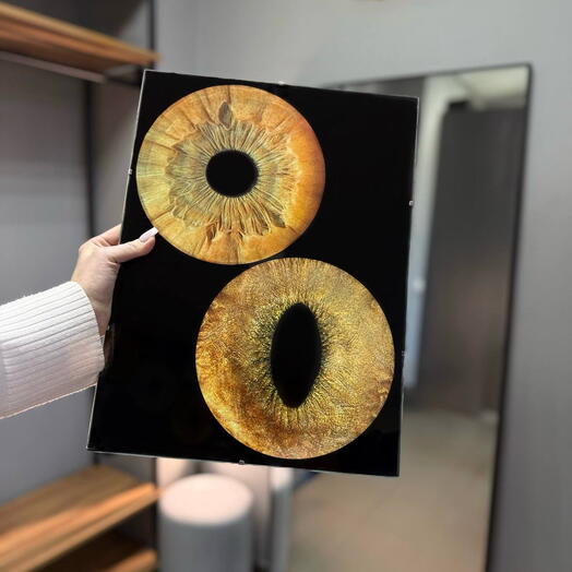 Парная фотосессия радужек глаз А3 в стекле к 8 марта