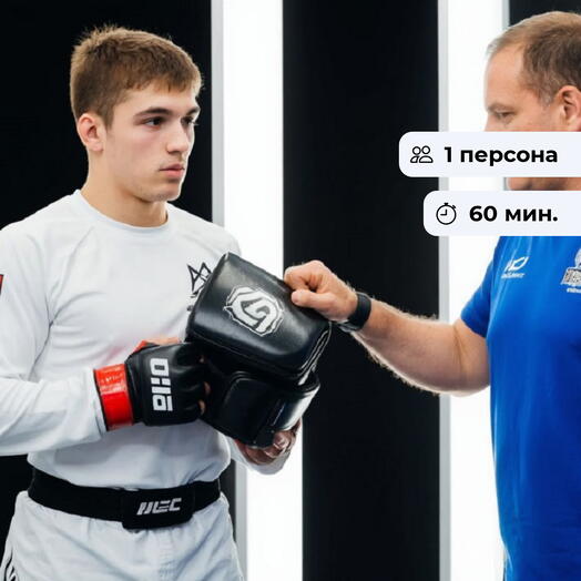 Час чемпиона. Тренировка по единоборствам с профессиональным тренером