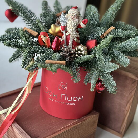 Композиция с нобилисом Дед Мороз