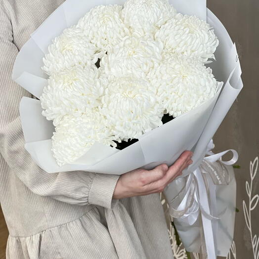 Букет из белоснежных хризантем сорта Bigoudi (бигуди)