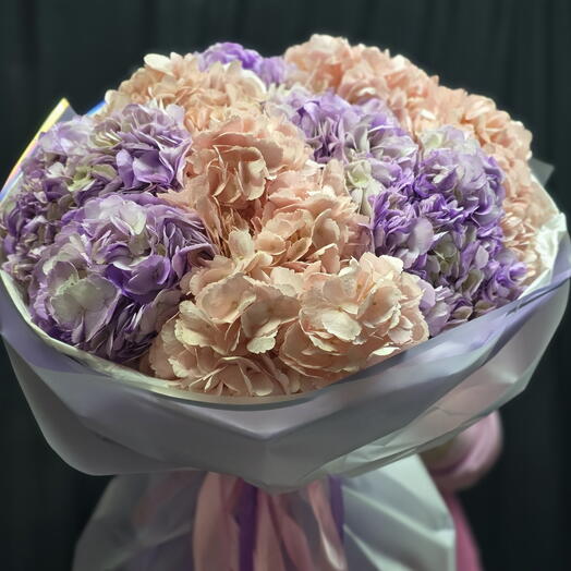 Моно букет из 11  гортензий