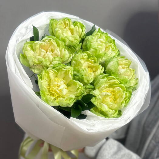 Букет из 7 зеленых пионовидных роз «Вегги» («Veggie»)(Эквадор  50 см) (арт.3698)
