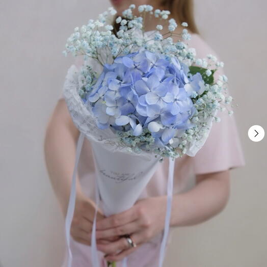Гортензия в рожке N 160