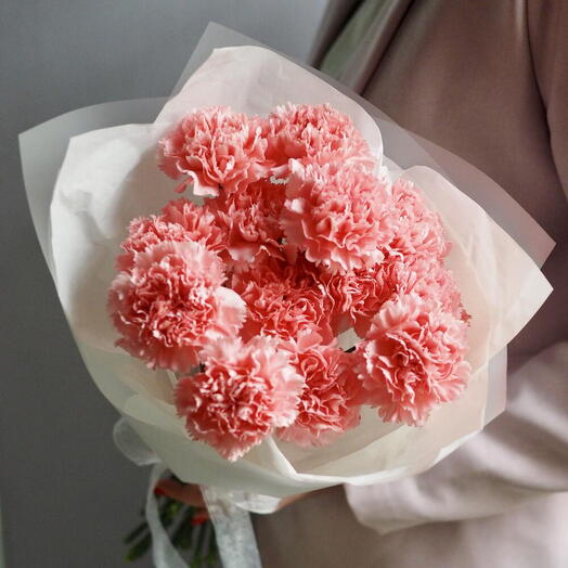 Розовый плюш из гвоздик