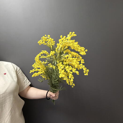 Мимоза искусственная