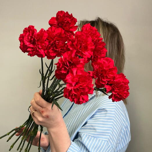 Гвоздики красные под ленту