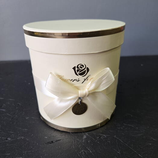 Коробка Бежевая 17*17