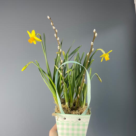 Нарциссы с вербой