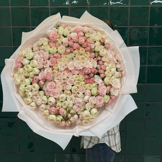 101 пионовидная Роза кустовая