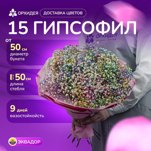 Букет 15 Гипсофил