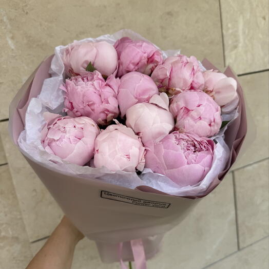 Пионы Сара Бернар 💞