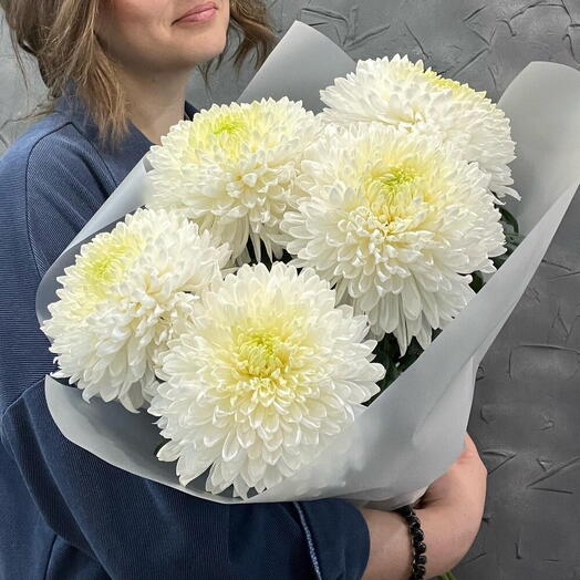 Букет из 5 белых хризантем Магнум