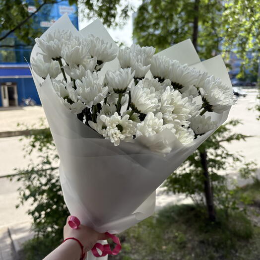 5 кустовых хризантем ромашек в оформлении