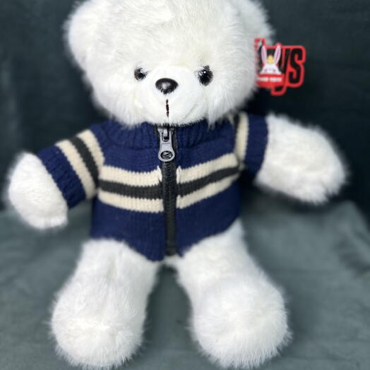 Плюшевый Мишка 🧸 (синий свитер)