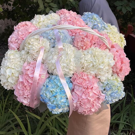 Maison Hydrangea Palette 🌸