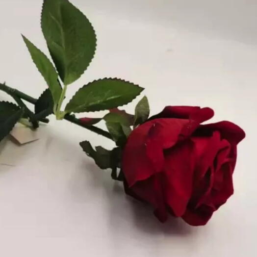one rose