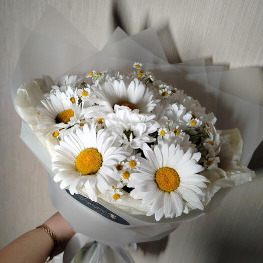 Ромашковое поле