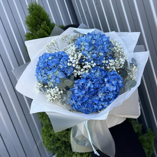 Гортензия 🥰и гипсофила