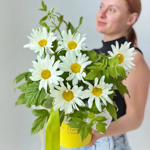 Коробочка с большими ромашками S