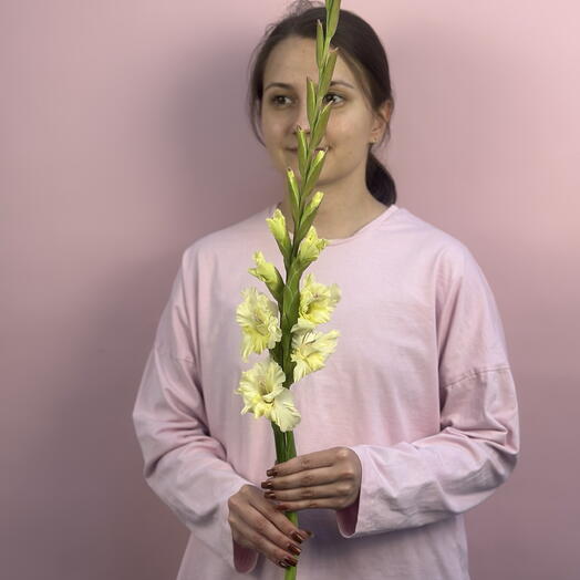 Гладиолус