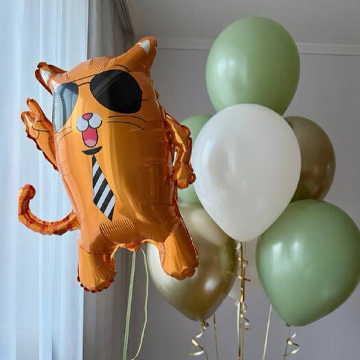 Шары и крутой кот