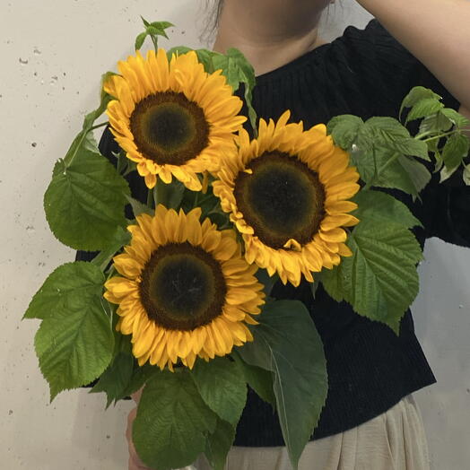 Подсолнухи и малина 🌻