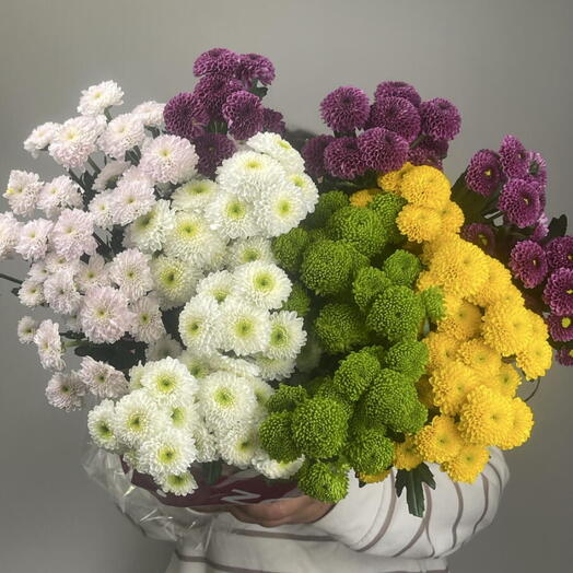 Пачка Хризантема Pompon Grem Bs микс (25шт)