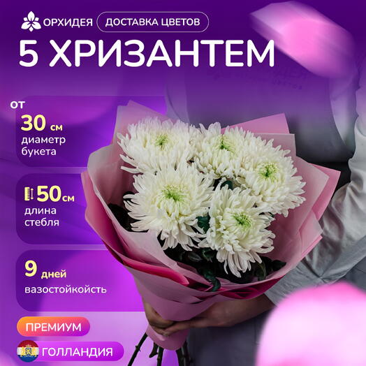 Букет 5 Хризантем магнум белые