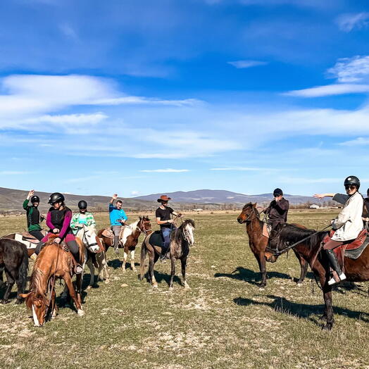 Конный тур (1 час ) в Pałomino Ranch