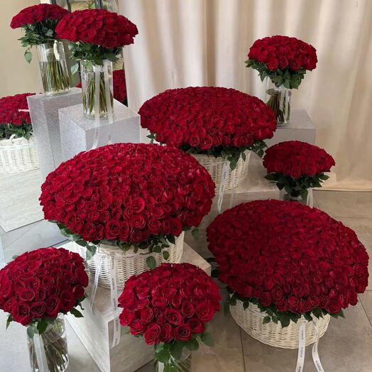 Huge romantic surprise (3 sets of 201 roses in baskets + 5 bouquets of 51 red roses)