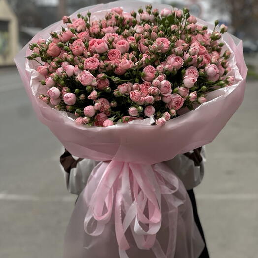 51 Кустовая Роза EXELSA PINK
