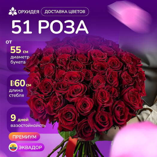 Букет 51 роза "Эксплорер"