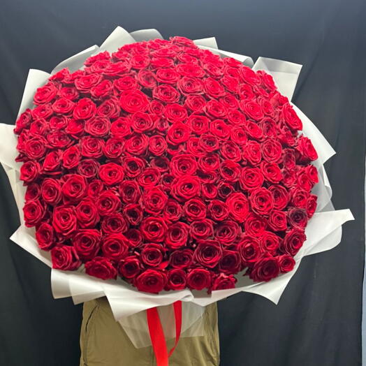 151 🌹😍
