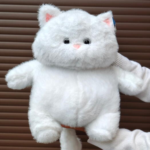 Котик белый