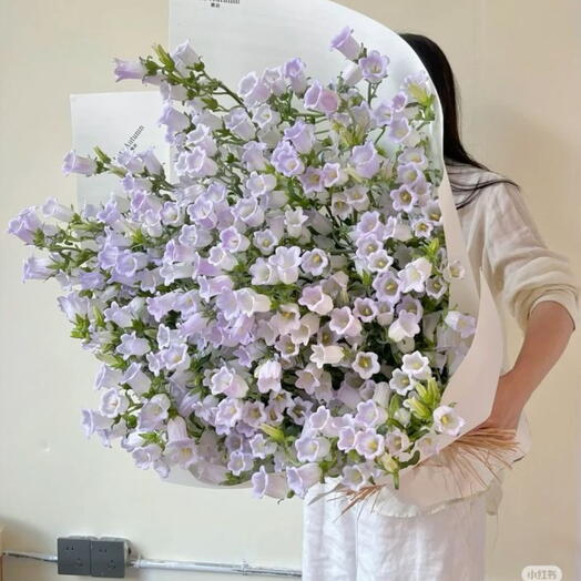 Колокольчик нежный