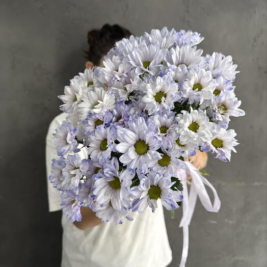 Хризантема фиолетовая 💜
