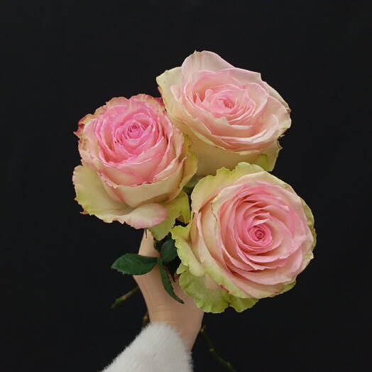 3 розы под ленту 💓