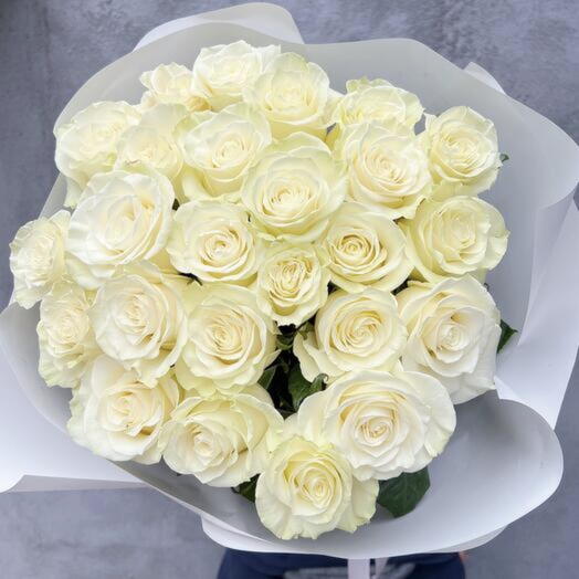 25 white mondial