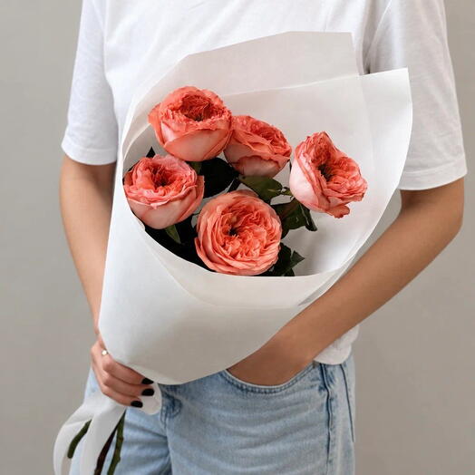 Коралловый закат