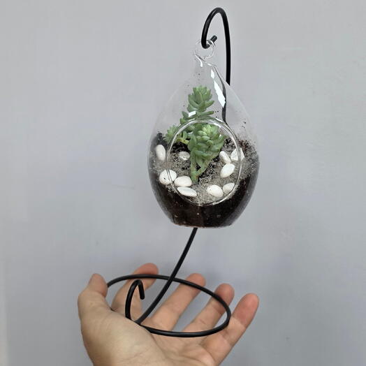 Флорариум подвесной капля