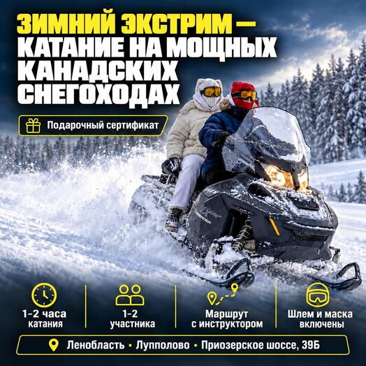 Подарочный сертификат «Зимний экстрим катание на мощных канадских снегоходах» (1 час, От 1 до 2 чел.)