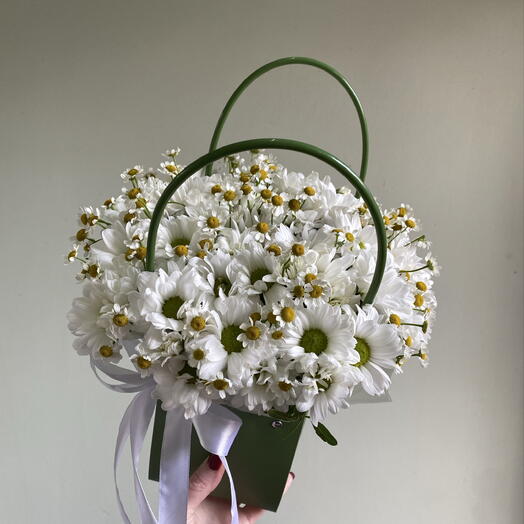 Ромашки