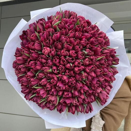 Букет из 151 тюльпана