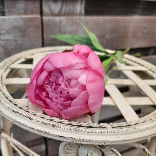 Pink peony 45 cm piece by piece