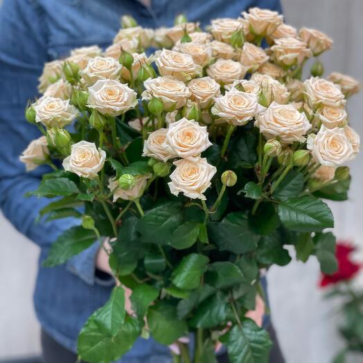 Bush beige 80 cm