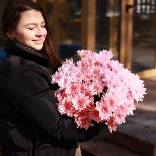 Chrysanthemum bush